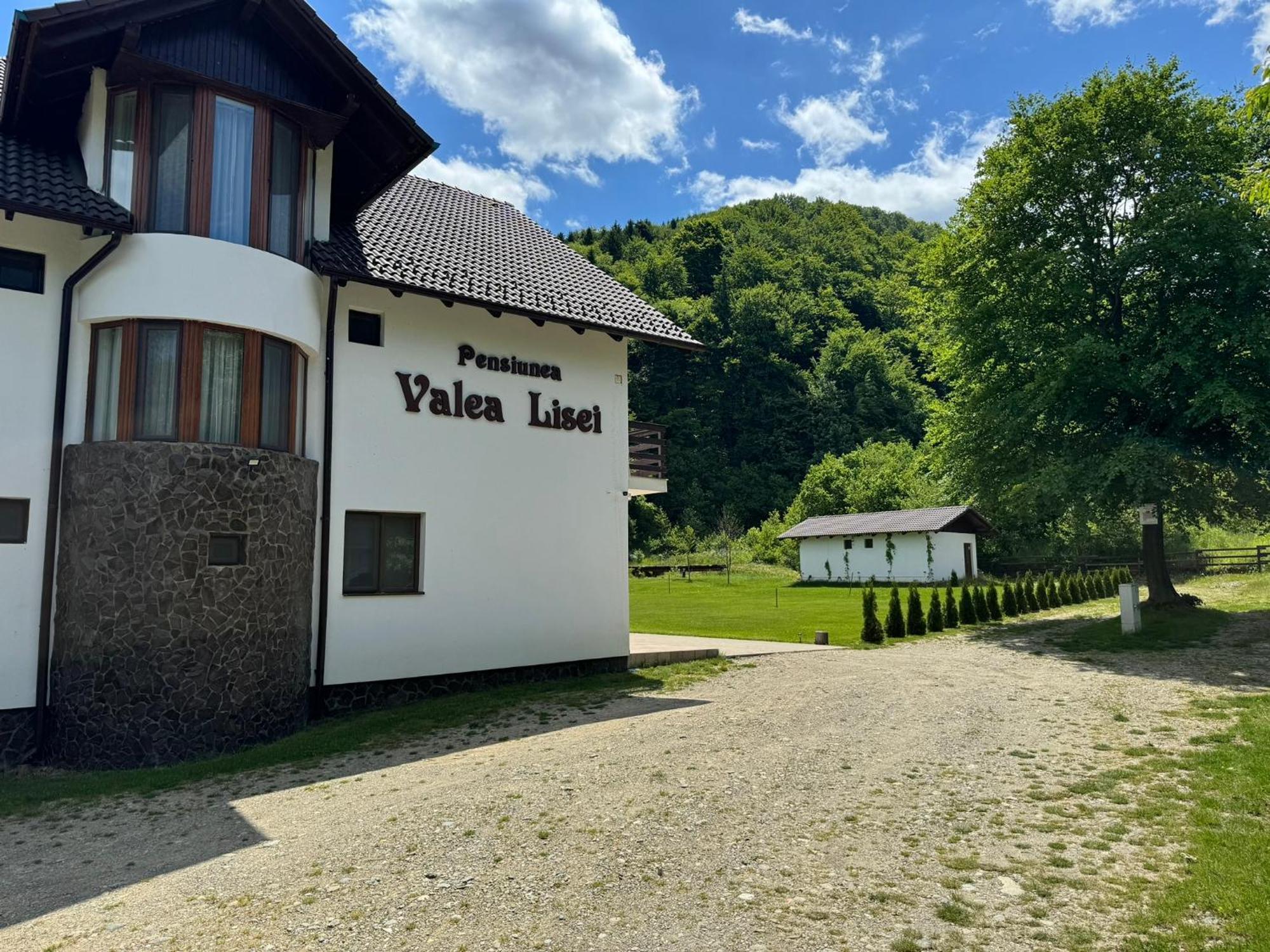 Pensiunea Valea Lisei Lisa 외부 사진
